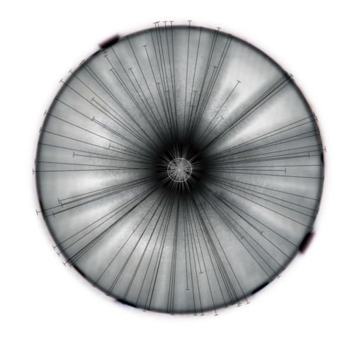 A composite image combining all 124 images of the ball rolling down the dome. Lines calculated programmatically trace out each path, marked with a beginning and an end showing the variability of when the ball began to roll between each attempt.